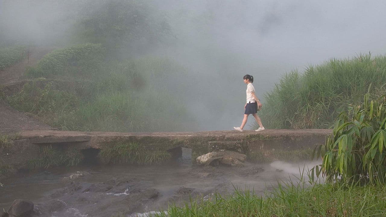 埋もれ木の背景画像