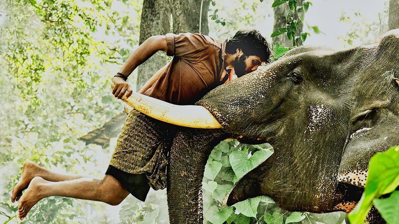 கும்கிの背景画像