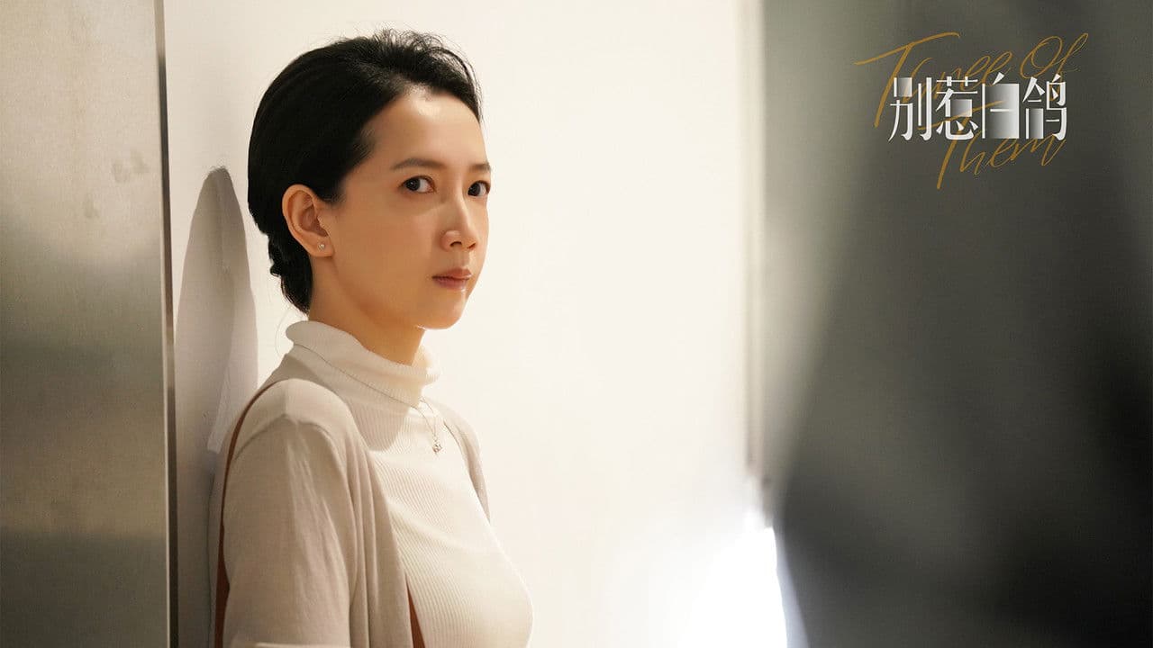 别惹白鸽の背景画像