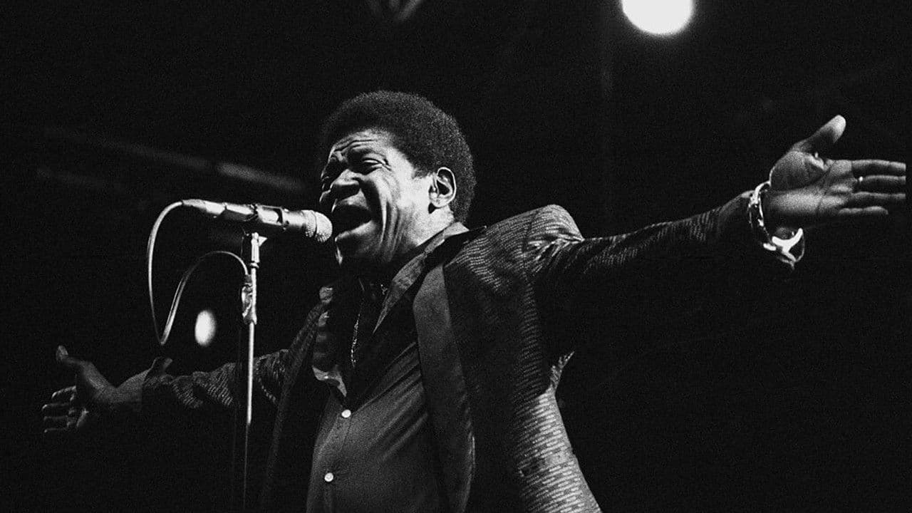 Charles Bradley : Musiques en Stock 2016の背景画像