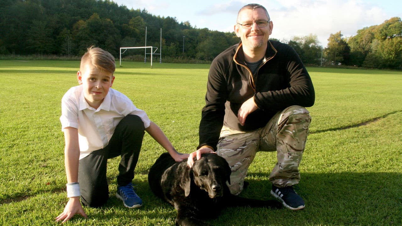 Tourettes: Teenage Ticsの背景画像