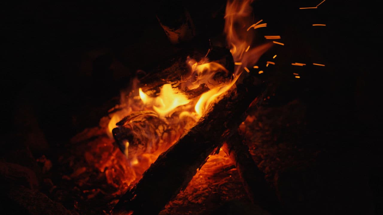 The Dead Riverの背景画像