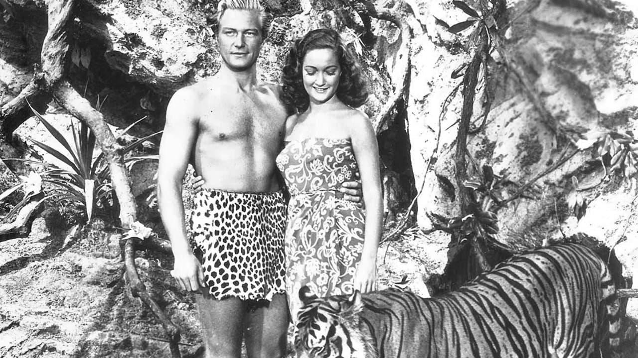 Beyond the Blue Horizonの背景画像