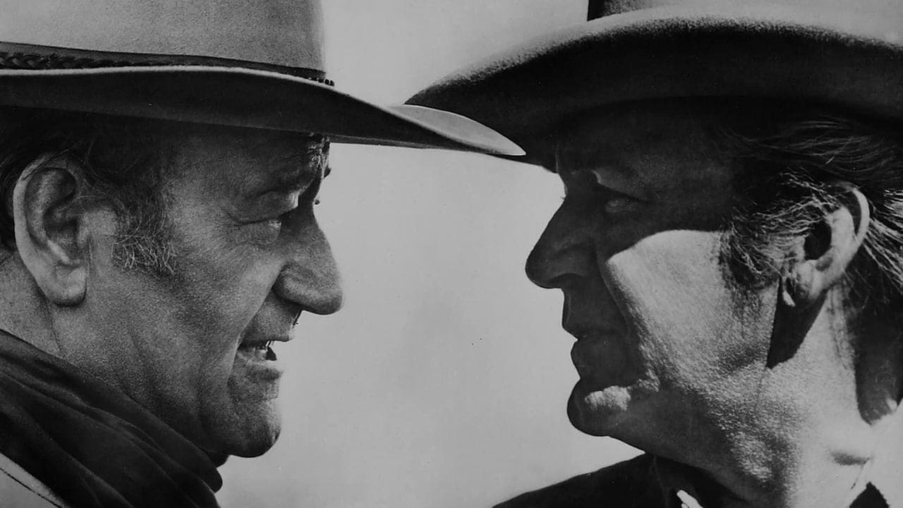 チザムの背景画像