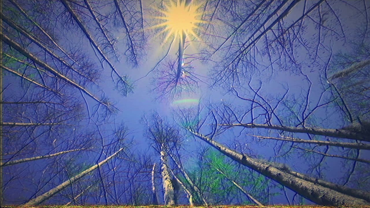 Cologne: artificial (Labajura Remix)の背景画像