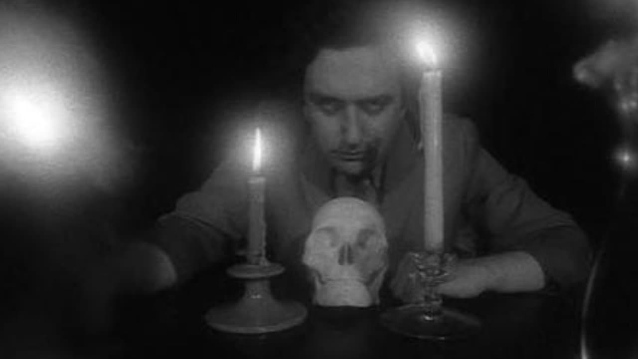 The Ultimate Degenerateの背景画像