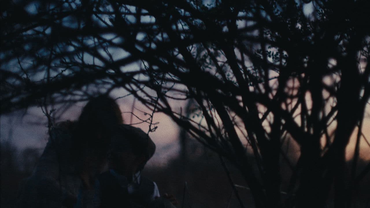 The Sapphire Doorの背景画像