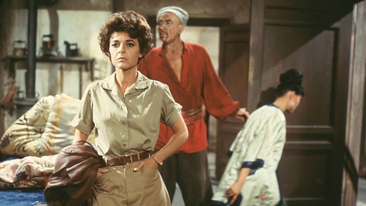 7 Womenの背景画像