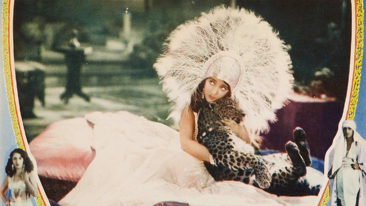 She's a Sheikの背景画像