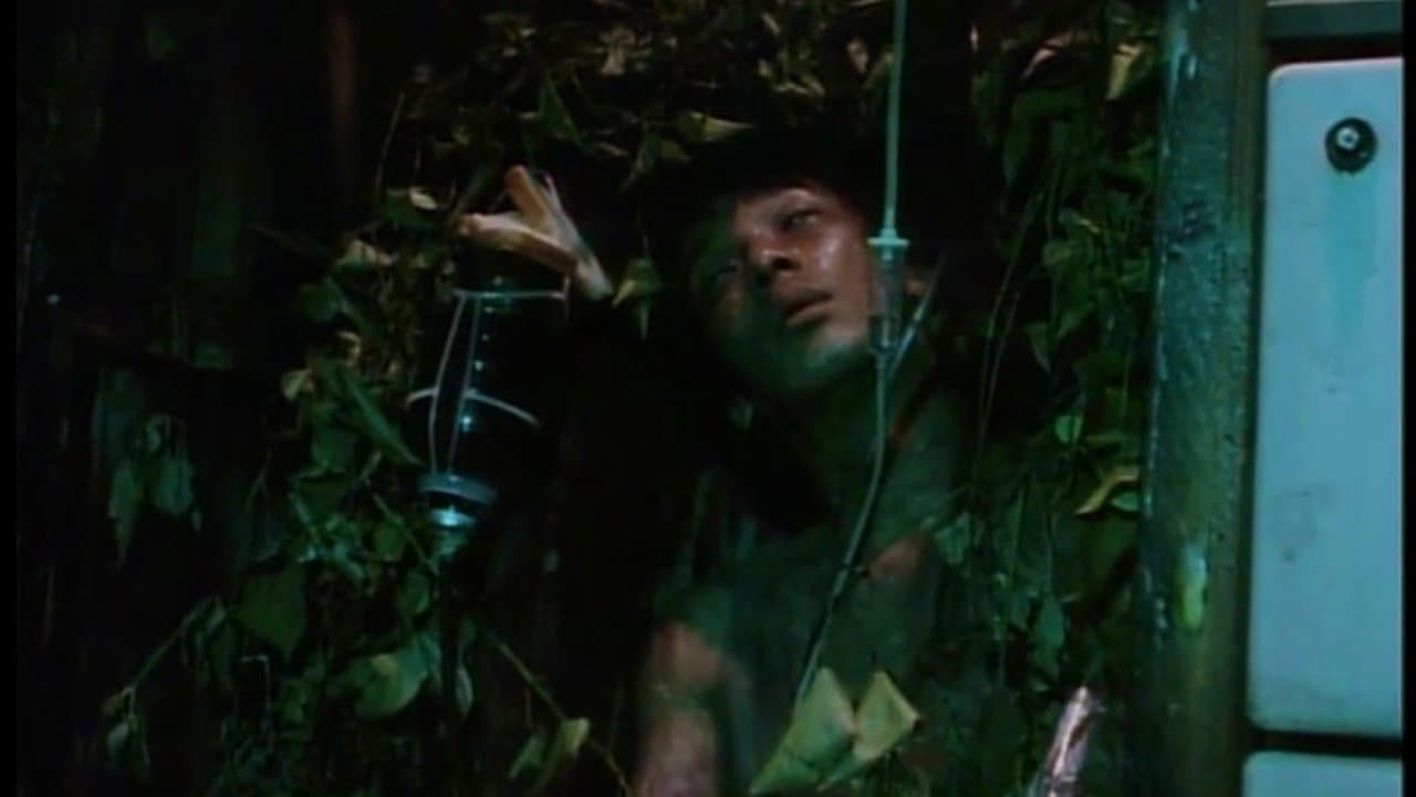 オルガンの背景画像