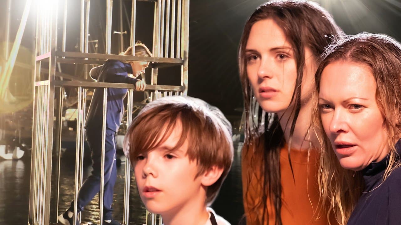 サメストーカーの背景画像