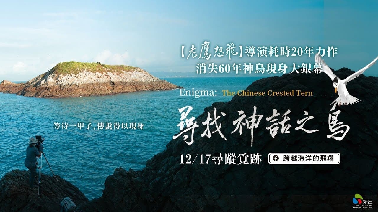 尋找神話之鳥の背景画像