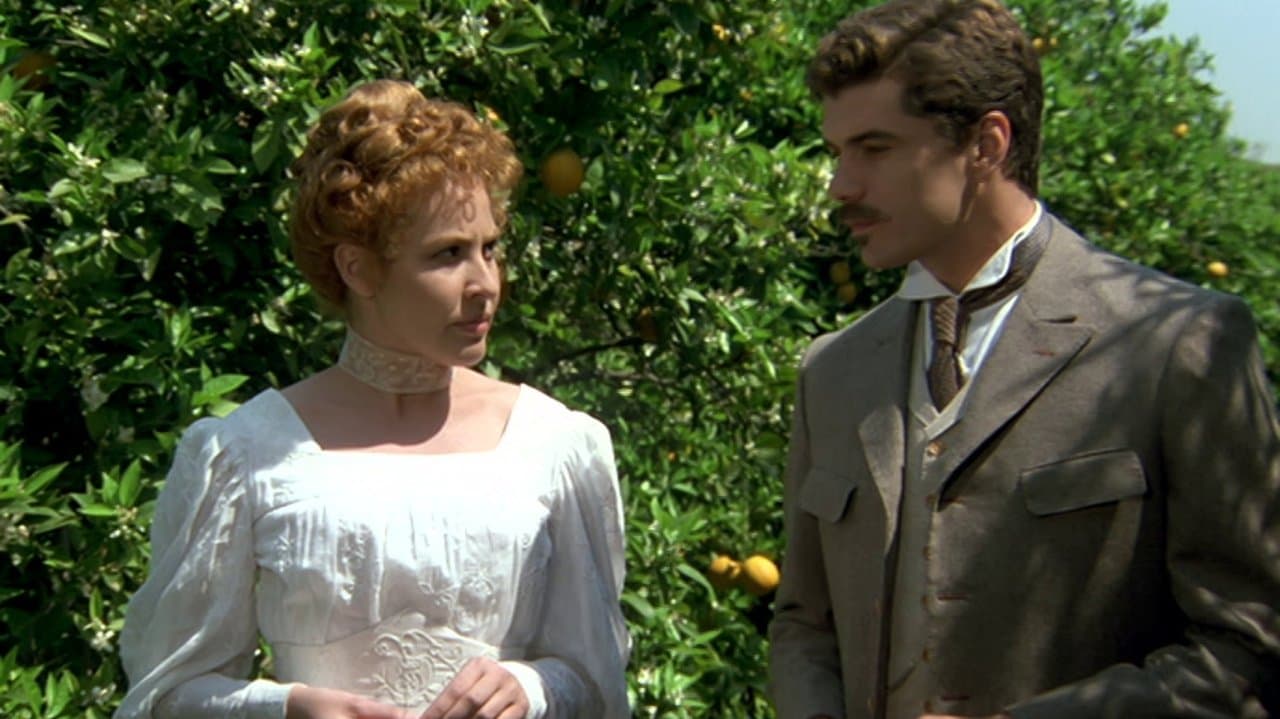 Entre naranjosの背景画像