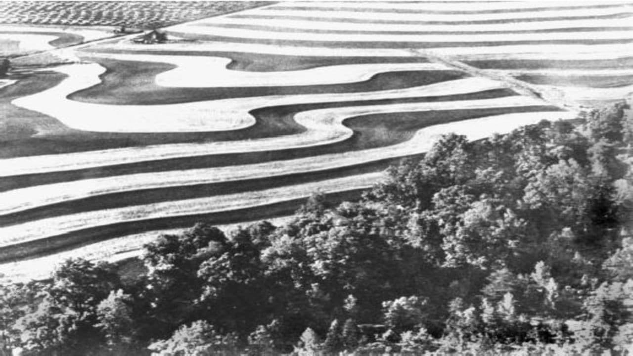 The Landの背景画像