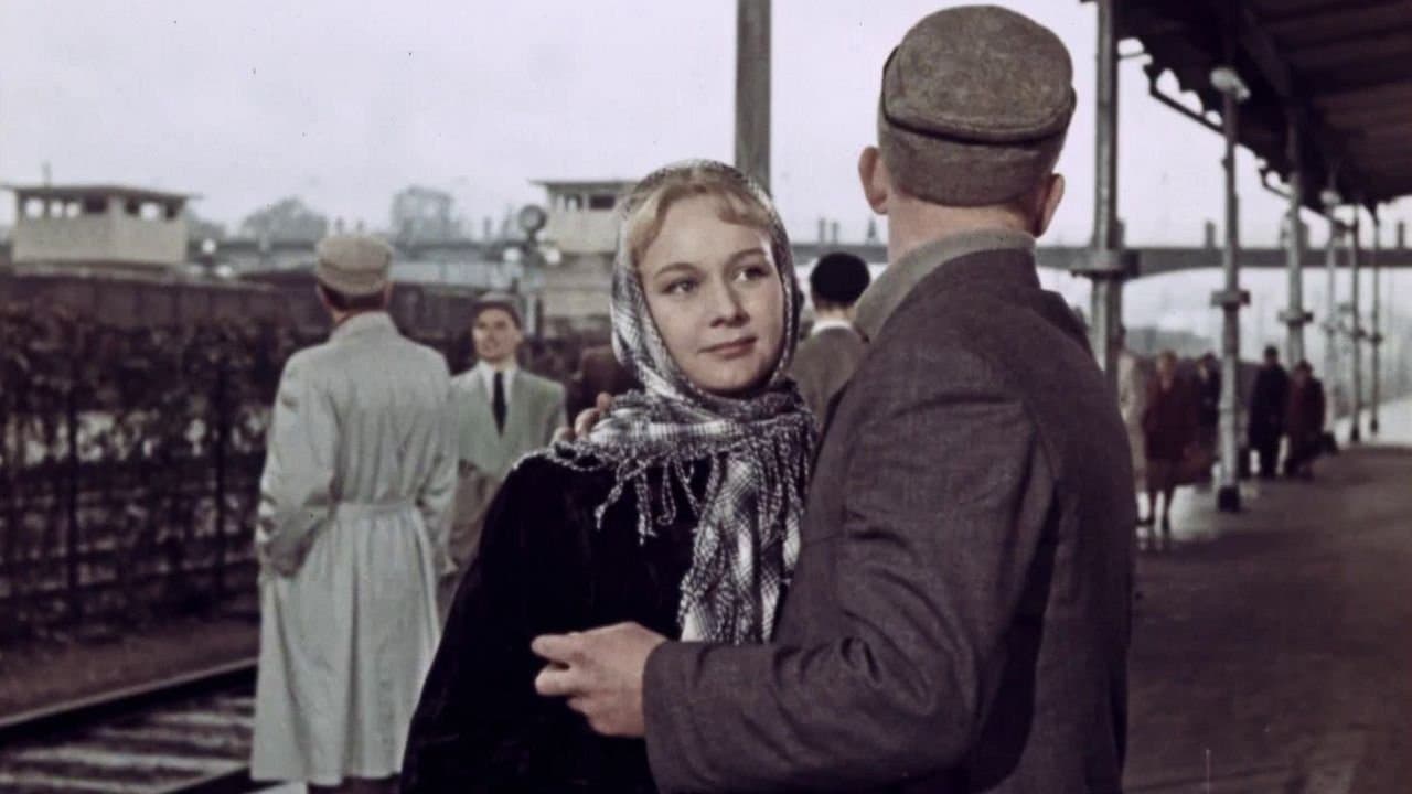 Красные листьяの背景画像