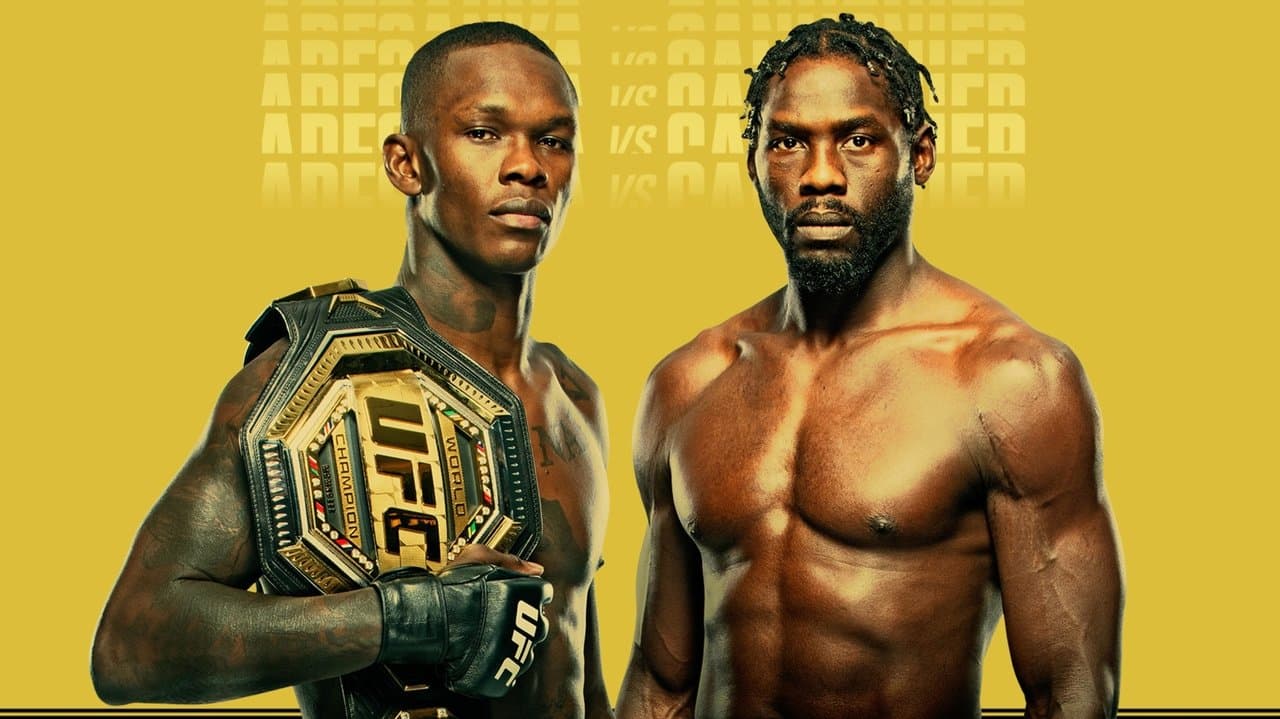 UFC 276: Adesanya vs. Cannonierの背景画像