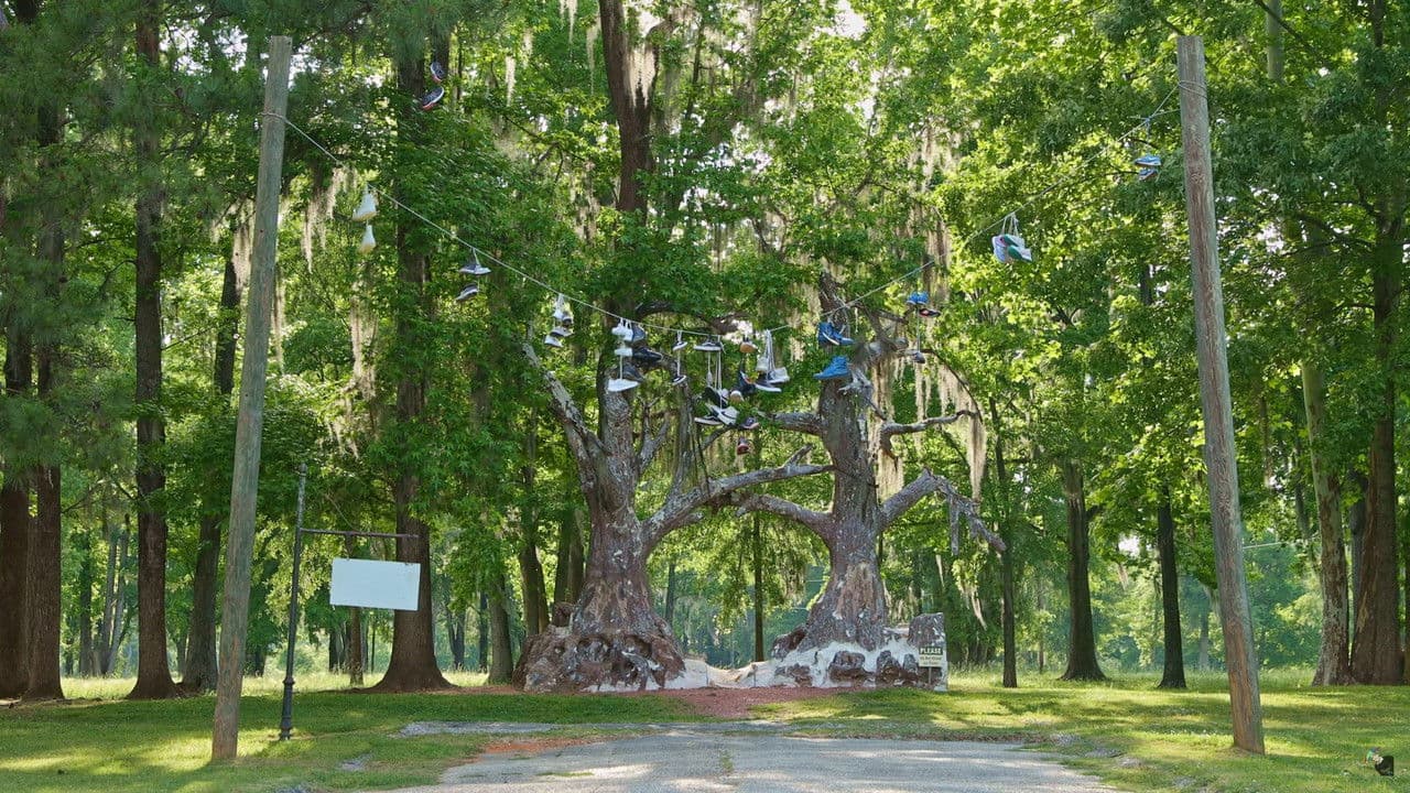 Spectreの背景画像