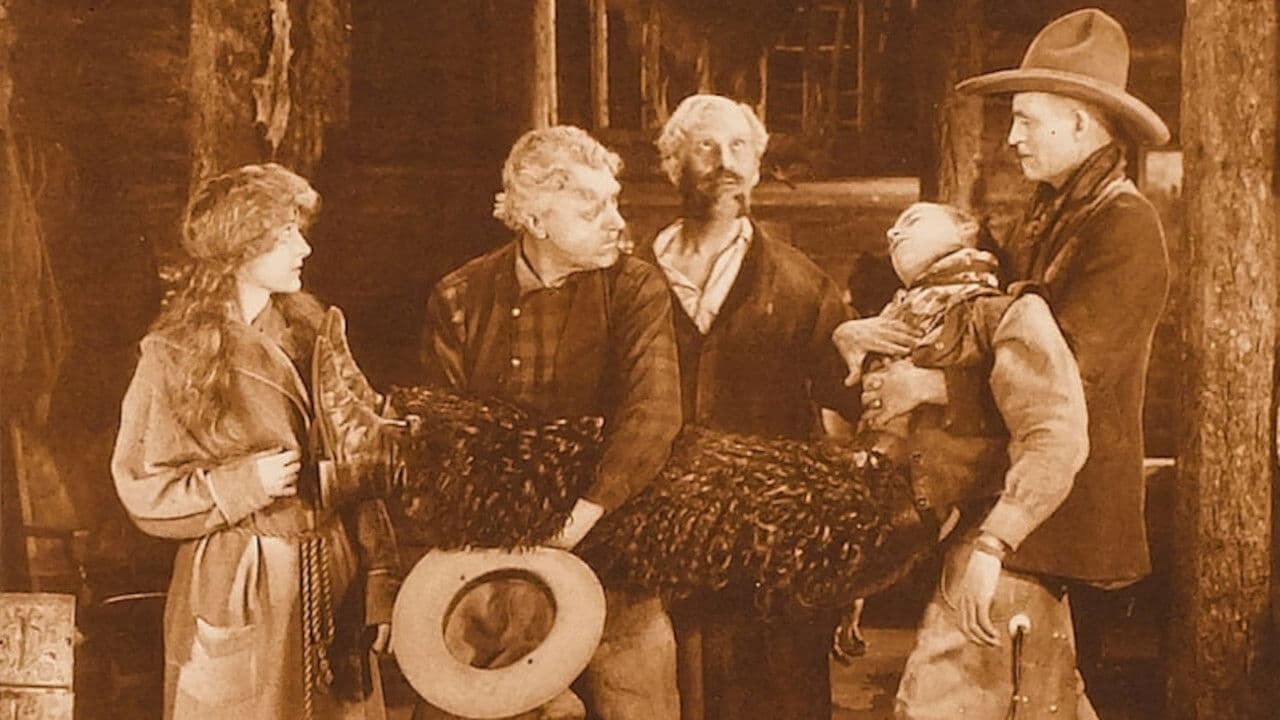 The Night Ridersの背景画像