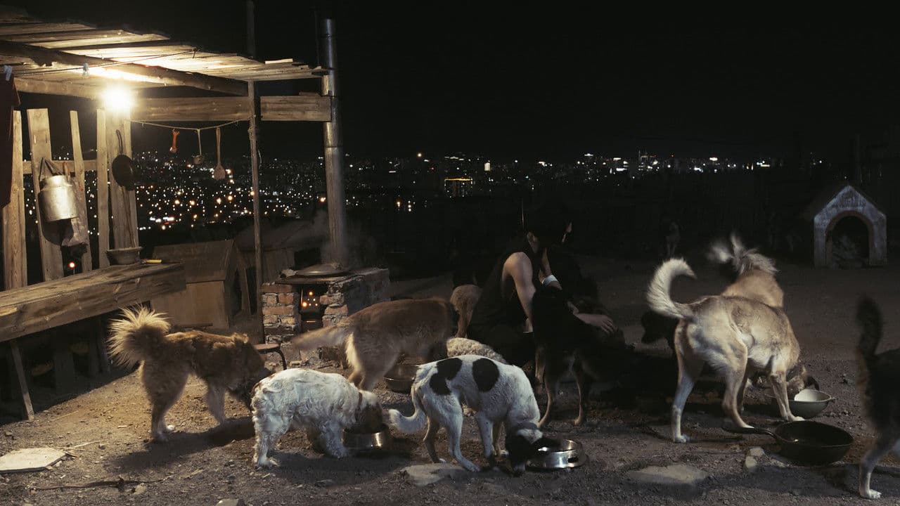 Чимээгүй хотын жолоочの背景画像