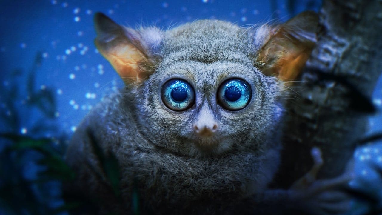 カラーで見る夜の世界の背景画像