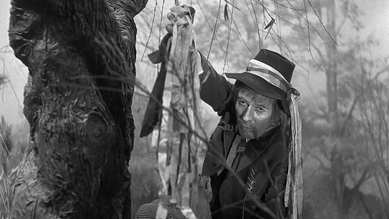 Jak se stal hastrman v Rokytnici ševcemの背景画像