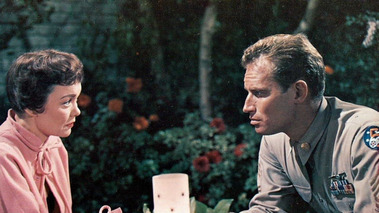 Lucy Gallantの背景画像