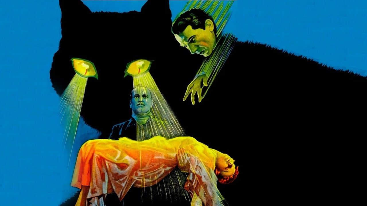 The Black Catの背景画像