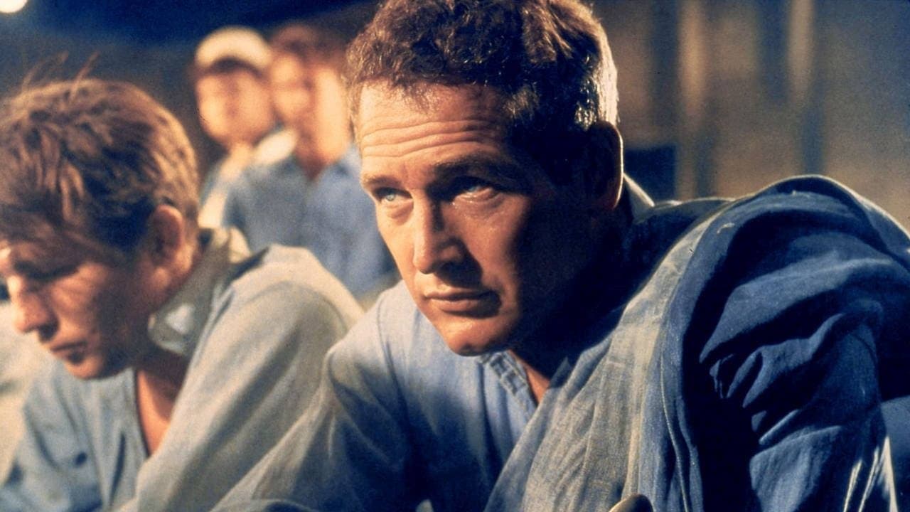 Paul Newman, l'intranquilleの背景画像