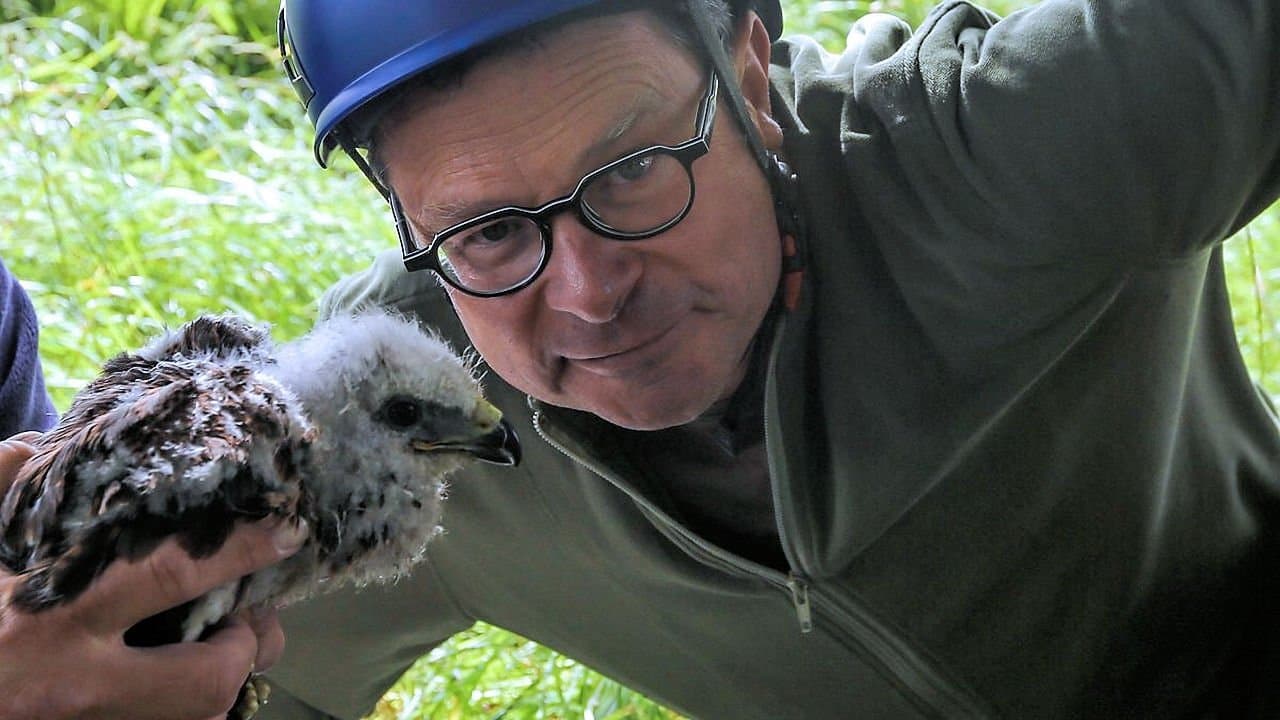 Hugh's Wild Westの背景画像