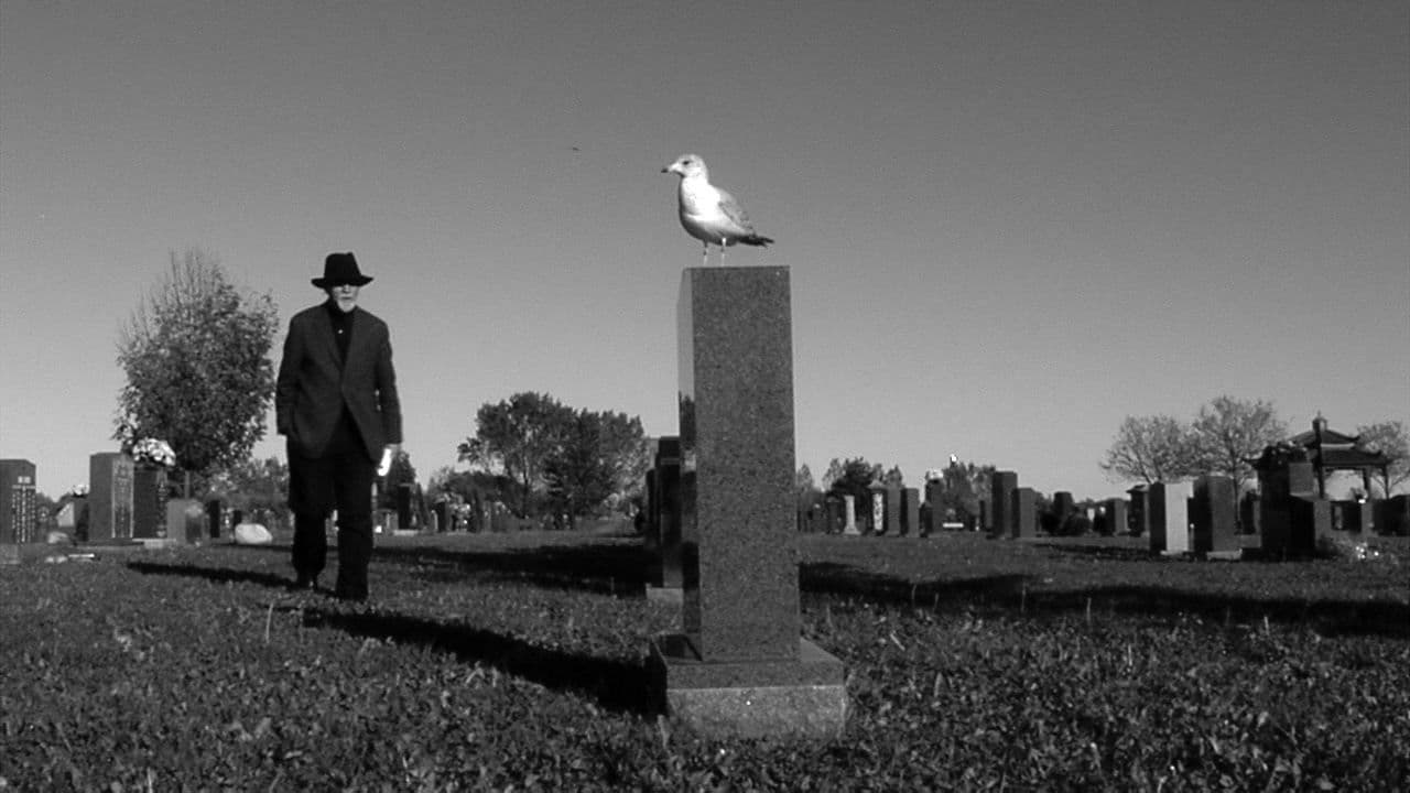 کیمیا و خاکの背景画像