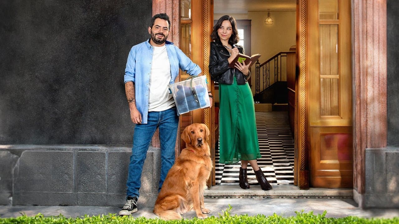 El Roomieの背景画像