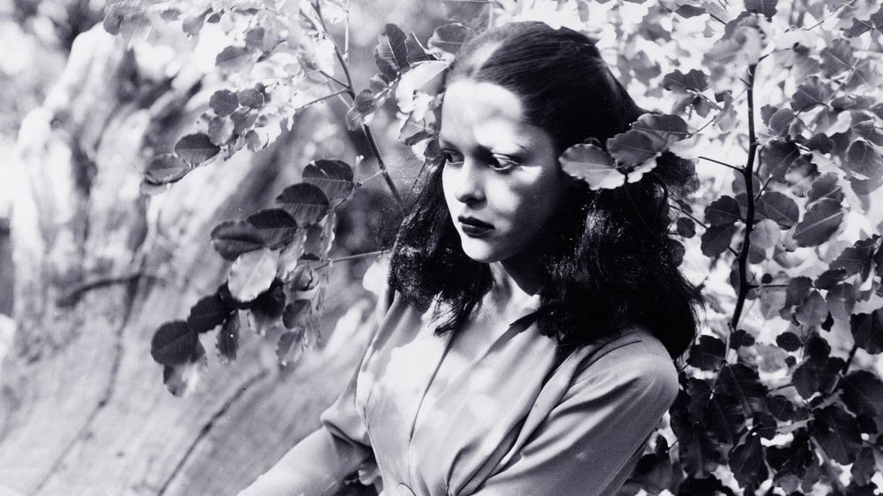 Jungle Womanの背景画像