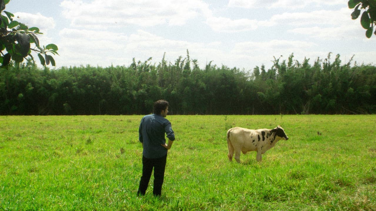 Império Voliçãoの背景画像