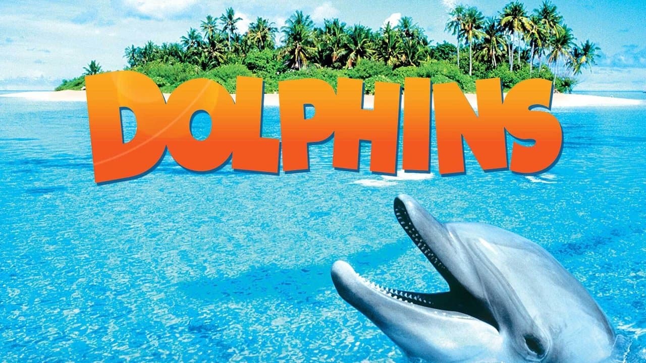Dolphinsの背景画像