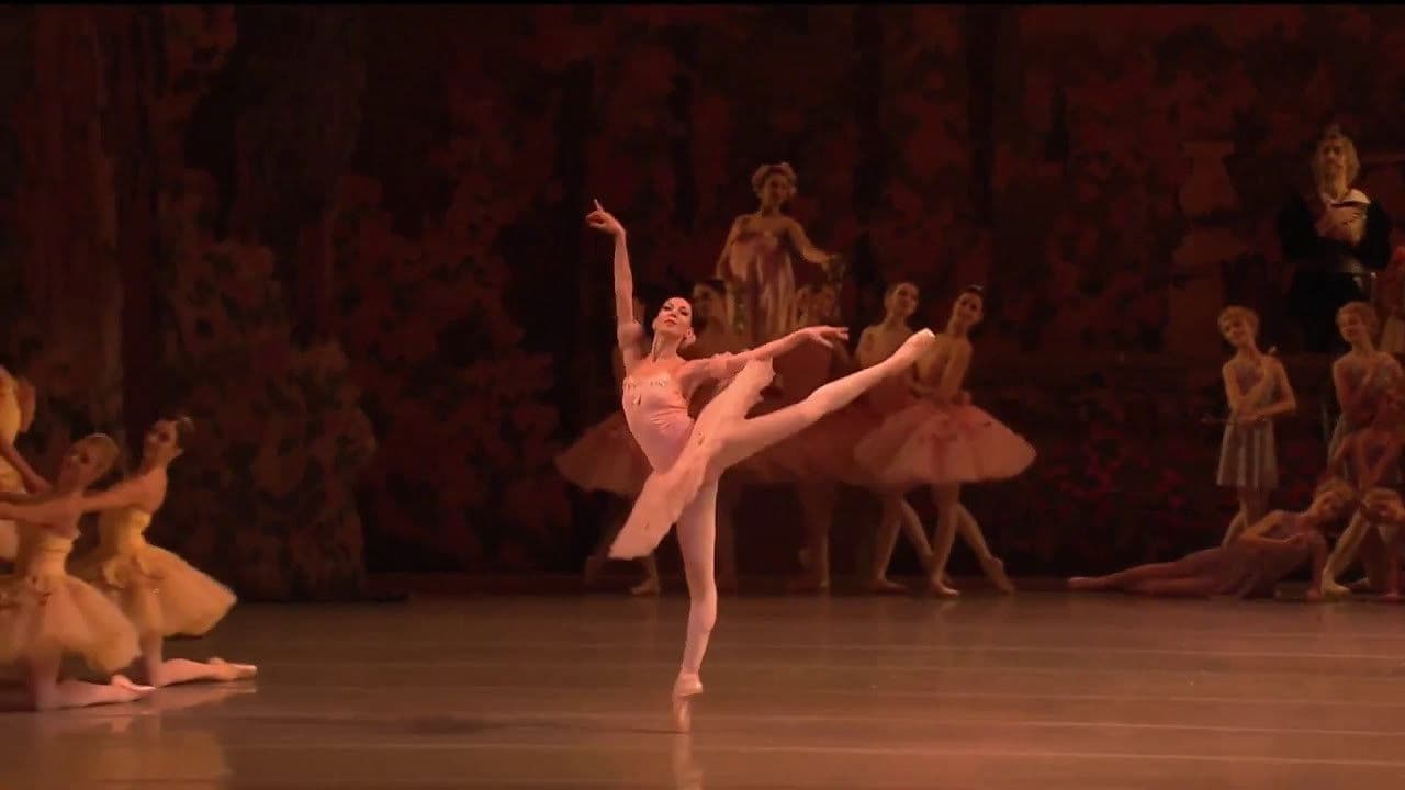 Don Quixote - Mariinsky Theatreの背景画像