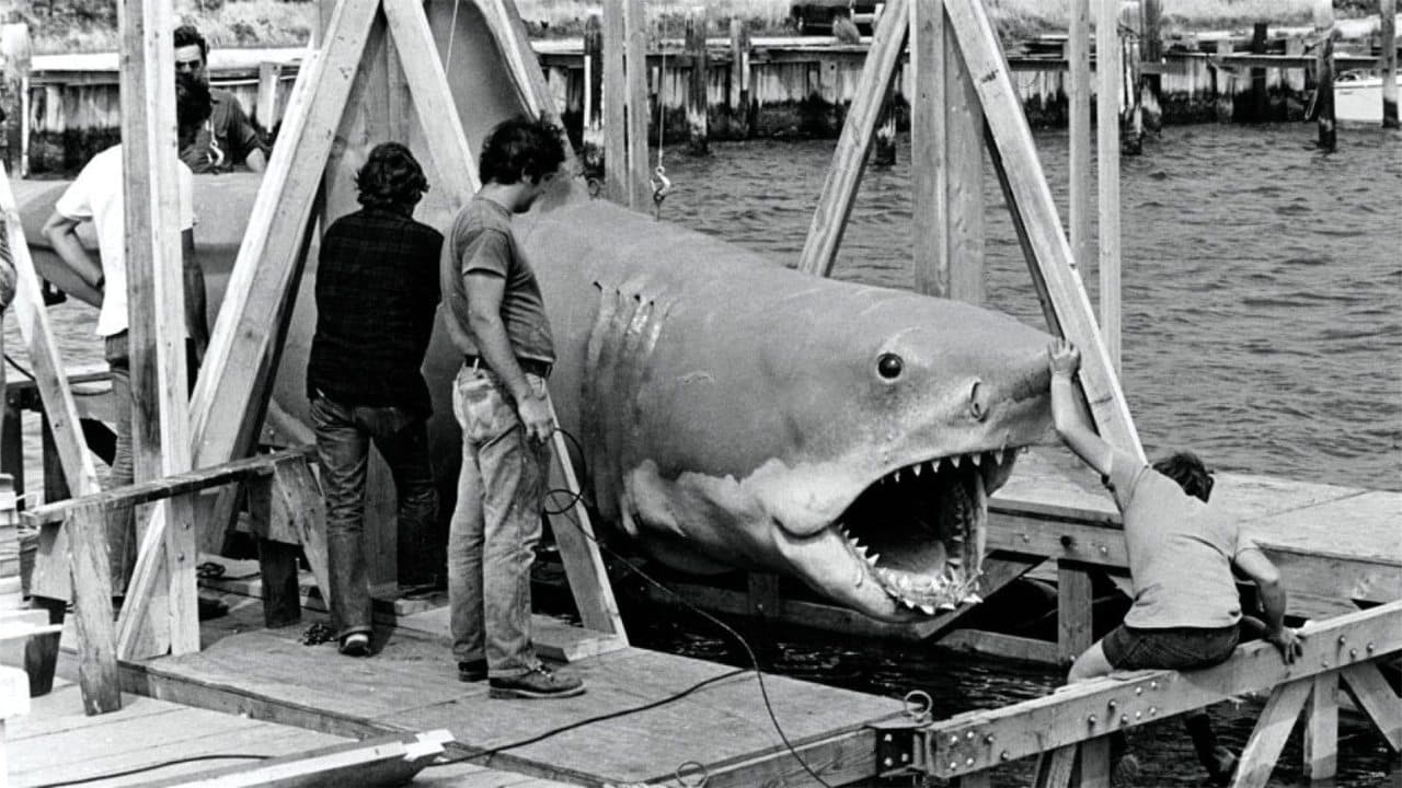 The Shark Is Still Workingの背景画像