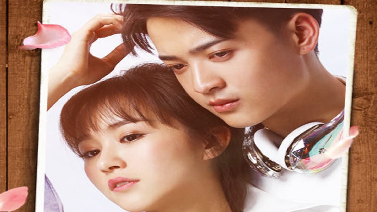 真爱骗子小娇妻の背景画像