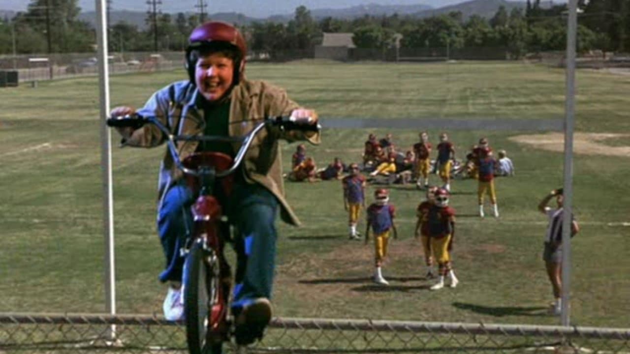 Ask Maxの背景画像