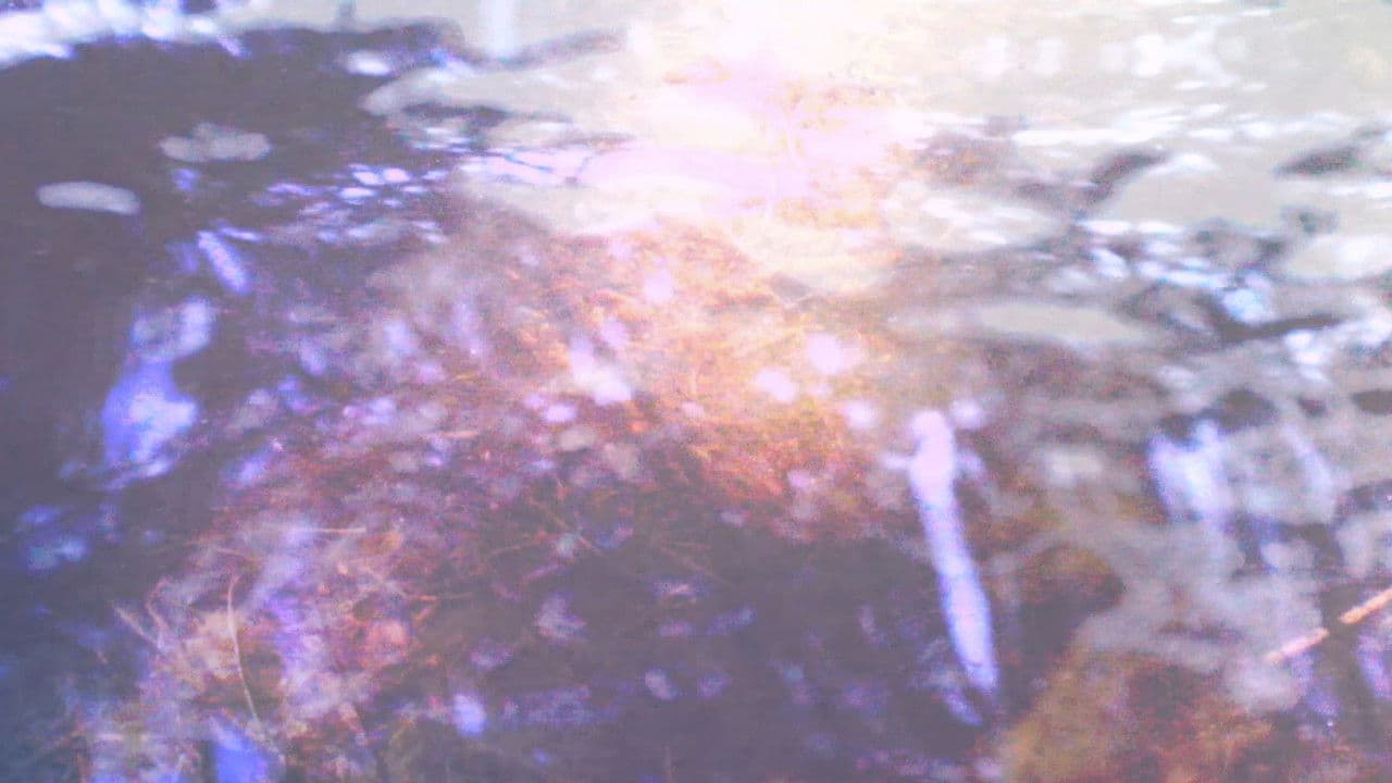 Boggyの背景画像