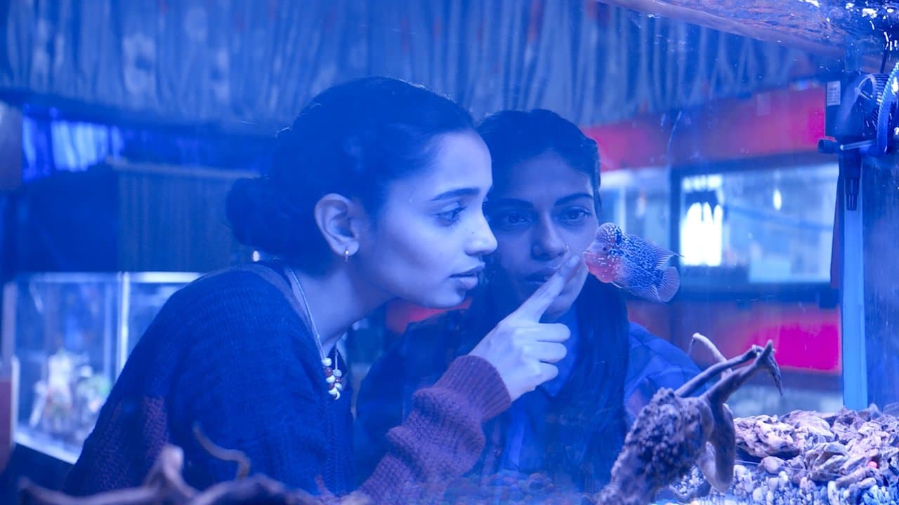 The Shamelessの背景画像