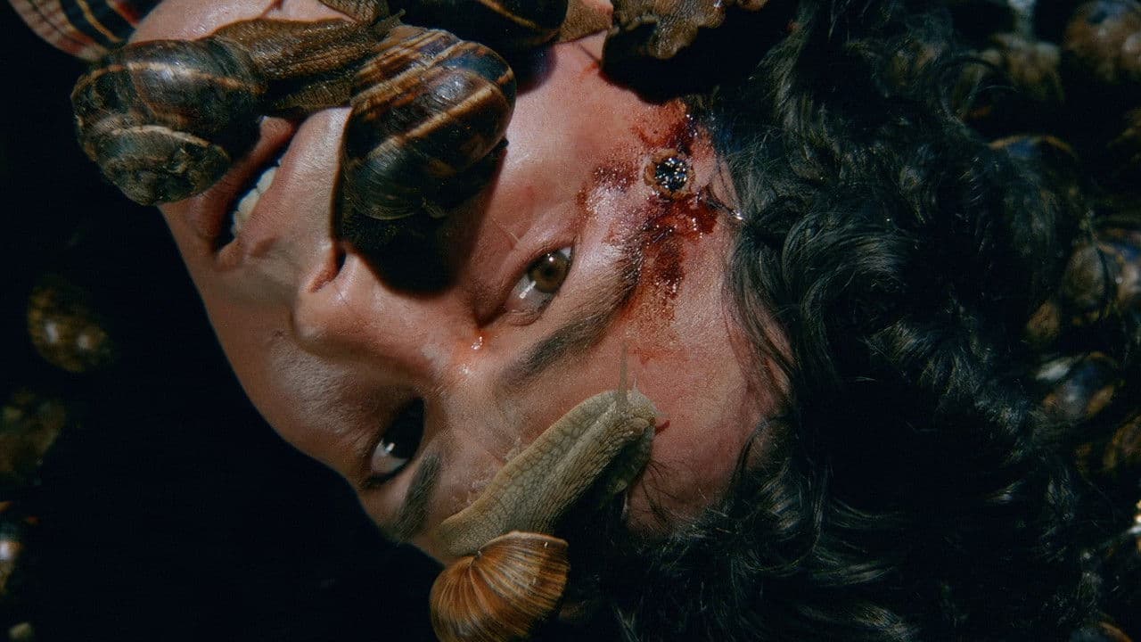 Un escargot dans la têteの背景画像