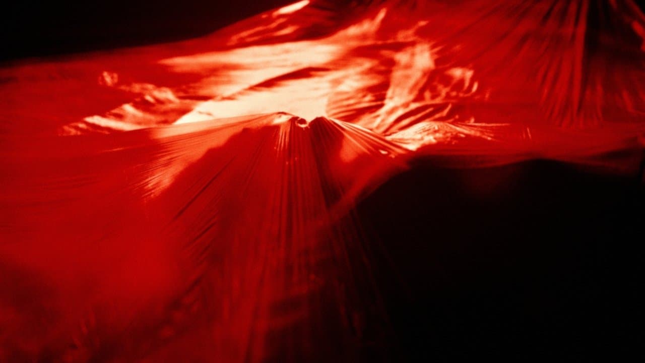 Trauma Porn Clubの背景画像