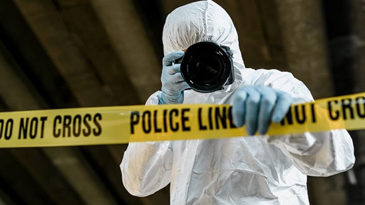 13th Day of Christmasの背景画像