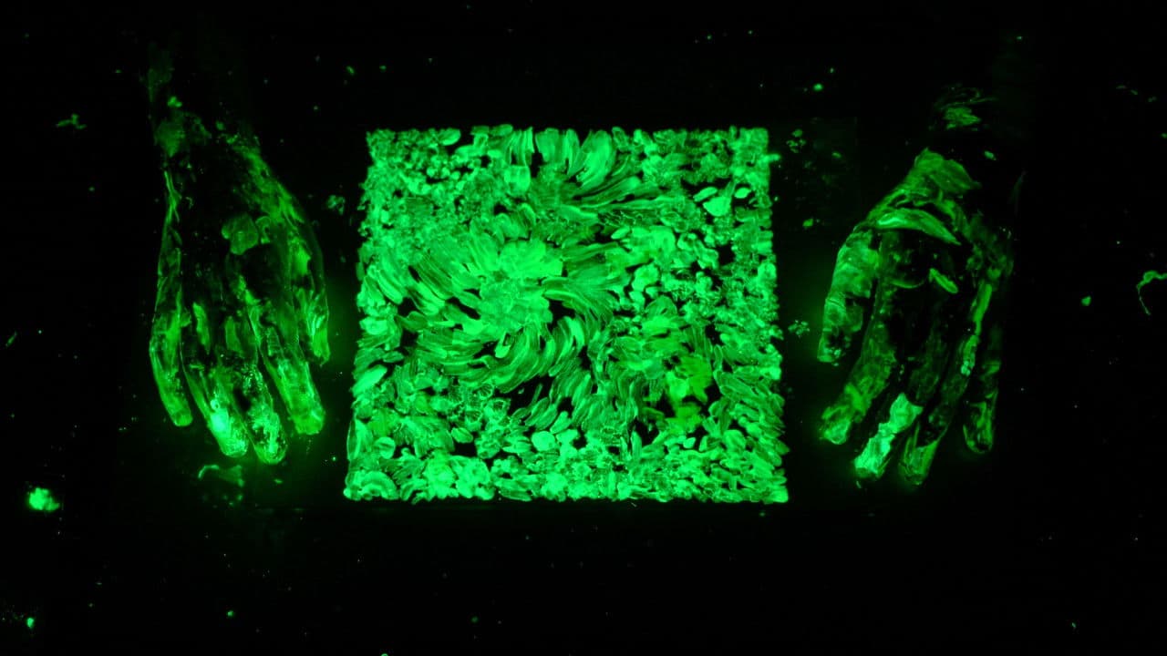 예언자の背景画像