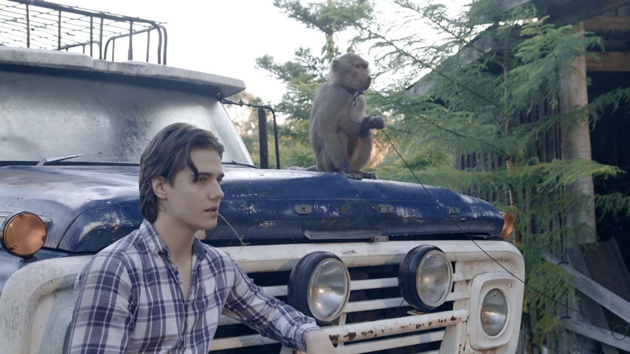 The Last Zombieの背景画像