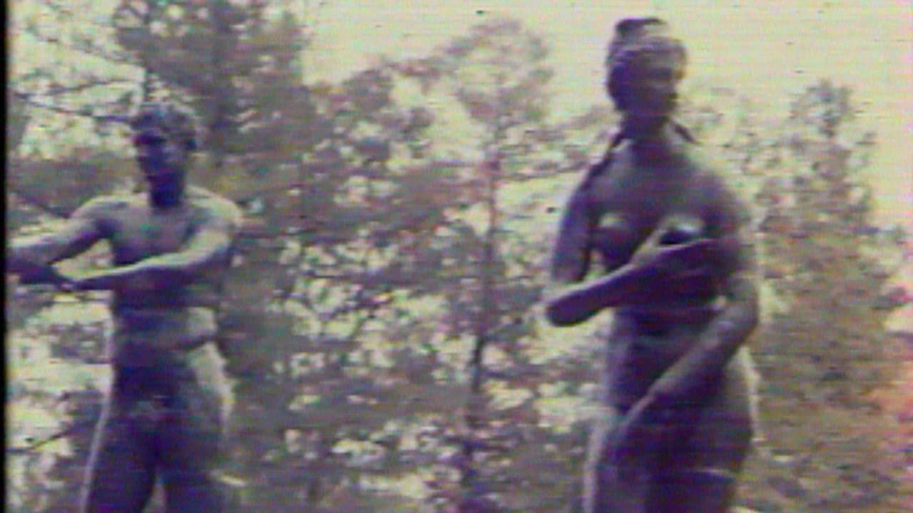 Метаморфозаの背景画像