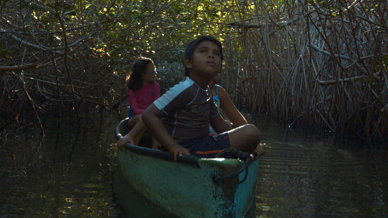 Tesorosの背景画像