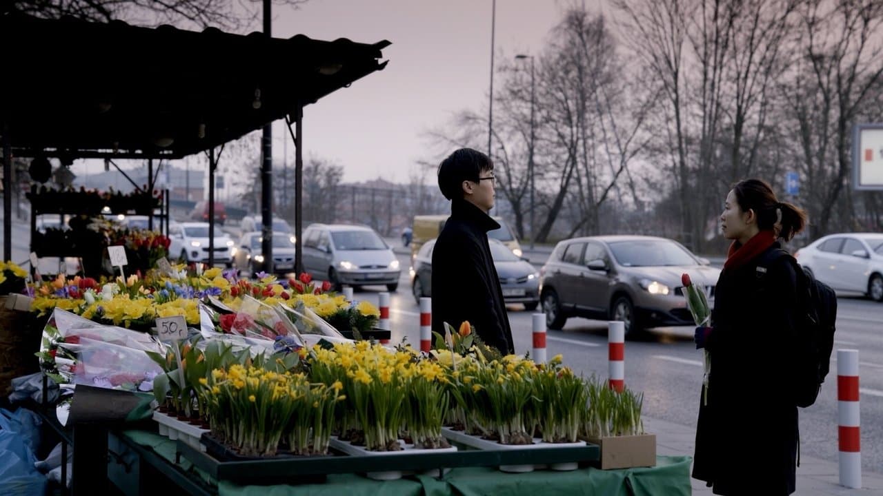 국경의 왕の背景画像