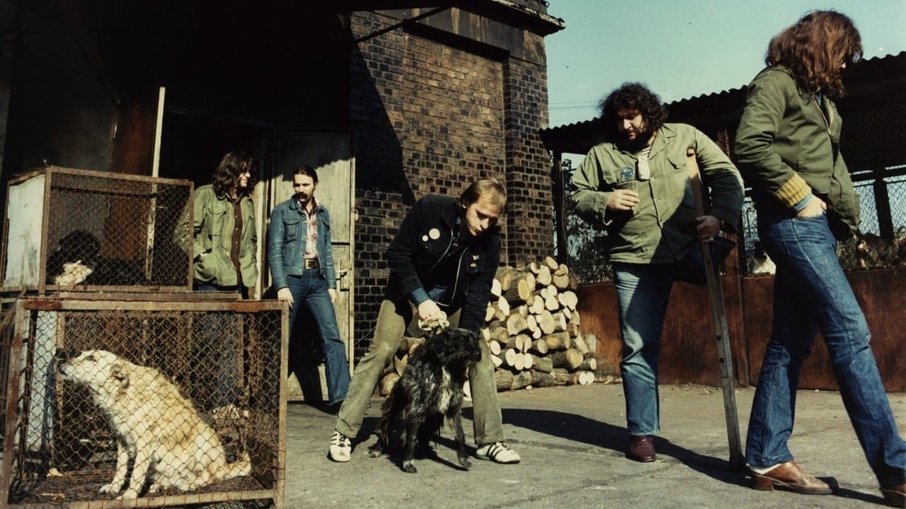 Kopaszkutyaの背景画像