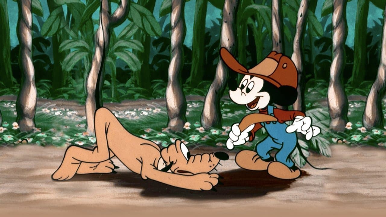 Mickey Down Underの背景画像